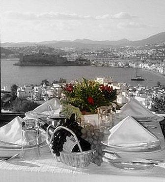 MANASTIR HOTEL